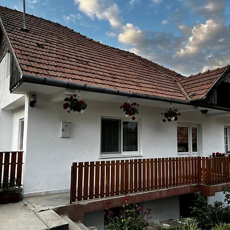 Balazs Vendeghaz Aparthotel Lupeni  Buitenkant foto
