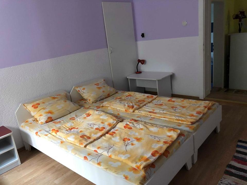 Balazs Vendeghaz Aparthotel Lupeni  Buitenkant foto