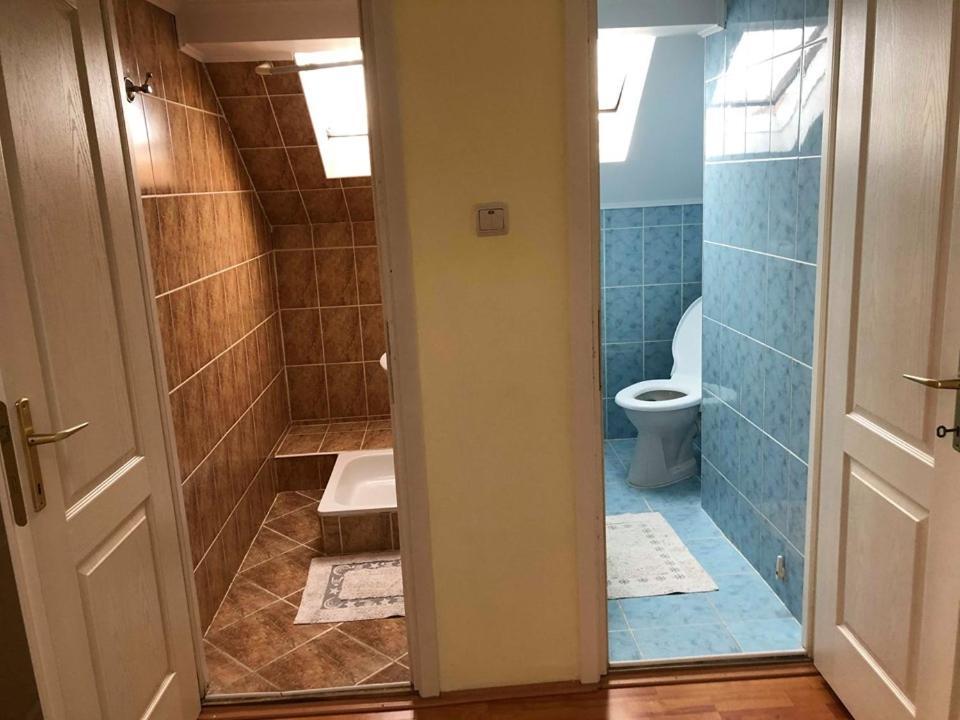 Balazs Vendeghaz Aparthotel Lupeni  Buitenkant foto