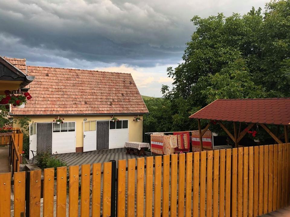 Balazs Vendeghaz Aparthotel Lupeni  Buitenkant foto