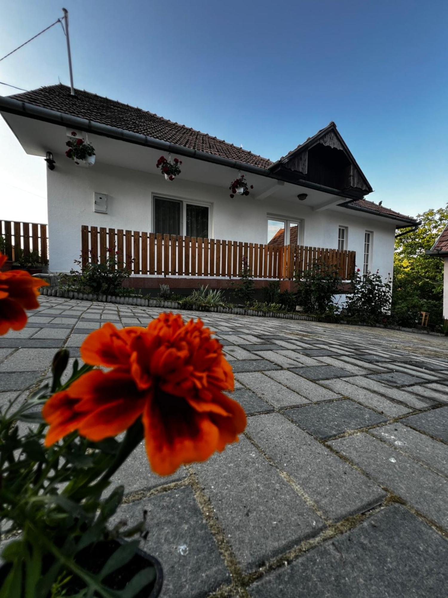 Balazs Vendeghaz Aparthotel Lupeni  Buitenkant foto