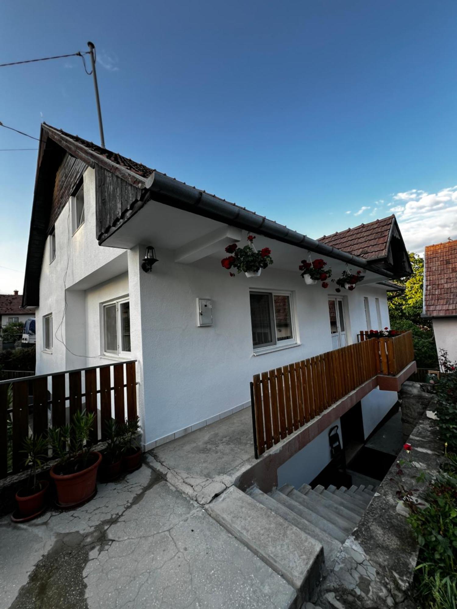 Balazs Vendeghaz Aparthotel Lupeni  Buitenkant foto
